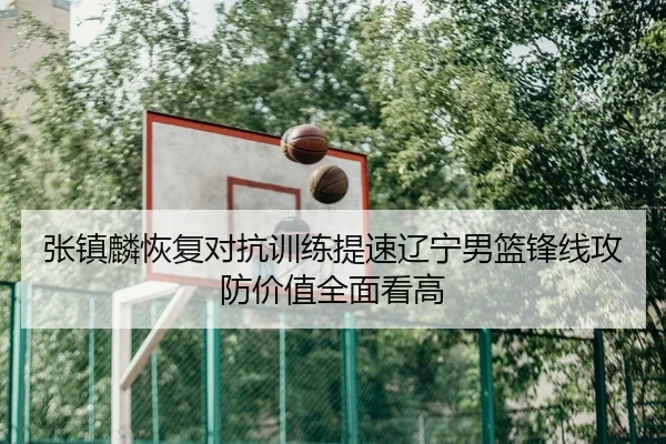 张镇麟恢复对抗训练提速辽宁男篮锋线攻防价值全面看高